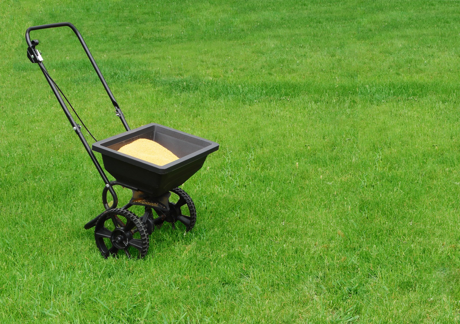 Amarillo Lawn Care for this Summer